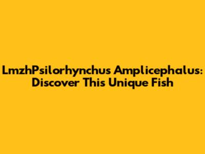 LmzhPsilorhynchus Amplicephalus: Discover This Unique Fish