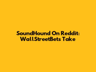 SoundHound On Reddit: WallStreetBets' Take